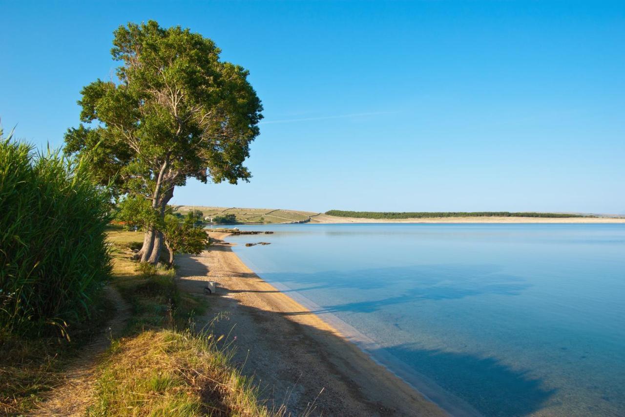 Family Friendly Apartments With A Swimming Pool Povljana, Pag - 244 Екстер'єр фото